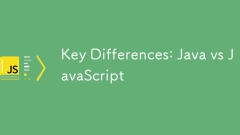 Différences clés: Java vs JavaScript