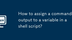 How to assign a command's output to a variable in a shell script?
