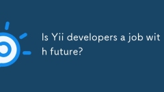 Is Yii developers a job with future?