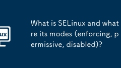 Apakah selinux dan apakah modnya (menguatkuasakan, permisif, dilumpuhkan)?