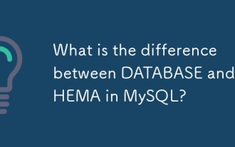What is the difference between DATABASE and SCHEMA in MySQL?