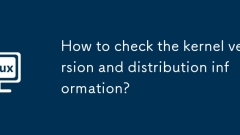 How to check the kernel version and distribution information?