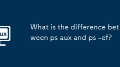 What is the difference between ps aux and ps -ef?