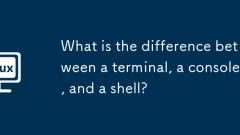 What is the difference between a terminal, a console, and a shell?
