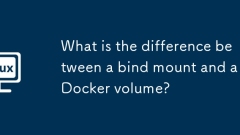 ??? ???? ?? ??? ???? ??????