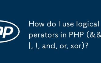 How do I use logical operators in PHP (&&, ||, !, and, or, xor)?