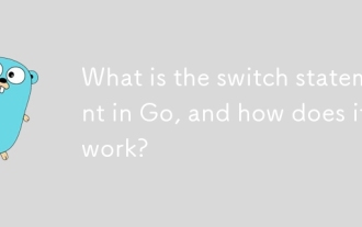 What is the switch statement in Go, and how does it work?