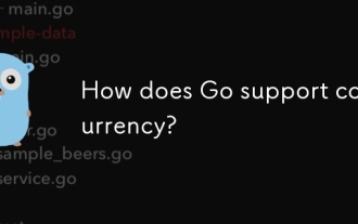 How does Go support concurrency?
