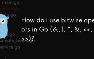 Wie benutze ich Bitwise -Operatoren in Go (&, |, ^, &, )?