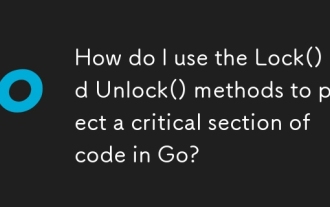 How do I use the Lock() and Unlock() methods to protect a critical section of code in Go?