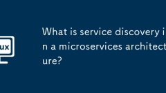 ???? ??? ?????? ??? ???? ??????