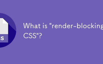 什麼是'渲染障礙CSS”?