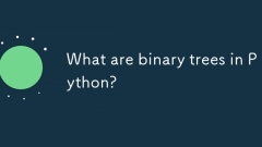 Was sind binäre Bäume in Python?