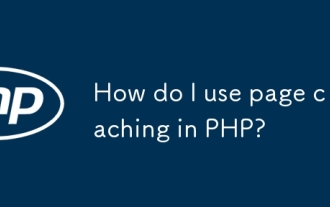 如何在PHP中使用页面缓存?