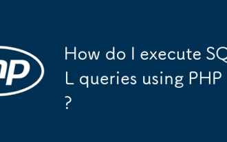 如何使用PHP执行SQL查询?