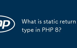 What is static return type in PHP 8?