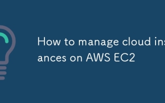 Cara Mengurus Contoh Awan di AWS EC2
