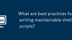 What are best practices for writing maintainable shell scripts?