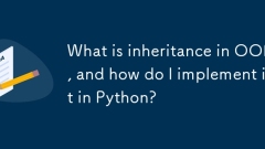 Was ist die Vererbung in OOP und wie implementiere ich sie in Python?