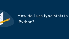 Wie verwende ich Typ -Hinweise in Python?