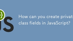 Bagaimana anda boleh membuat medan kelas peribadi di JavaScript?