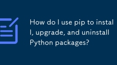 Wie verwende ich Pip, um Python -Pakete zu installieren, zu aktualisieren und zu deinstallieren?