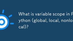 Was ist variabler Umfang in Python (global, lokal, nicht lokal)?