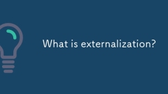 What is externalization?