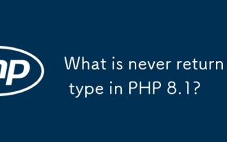 Quel est le type de retour en php 8.1?