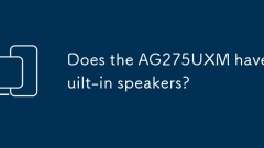 Does the AG275UXM have built-in speakers?