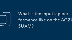 What is the input lag performance like on the AG275UXM?