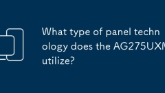 What type of panel technology does the AG275UXM utilize?