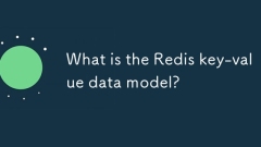 Was ist das Redis-Schlüsselwertdatenmodell?
