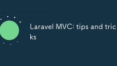 Laravel MVC: tips and tricks