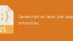 JavaScript vs Java:工作机会