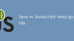 Java vs JavaScript:轻松指南