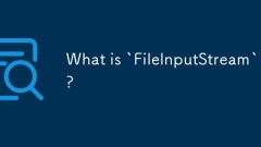 What is `FileInputStream`?