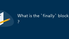 What is the `finally` block?