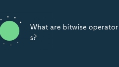 What are bitwise operators?