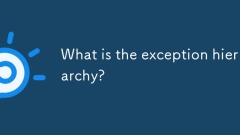 What is the exception hierarchy?