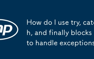 How do I use try, catch, and finally blocks to handle exceptions?