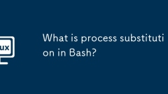 What is process substitution in Bash?
