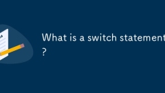 What is a switch statement?