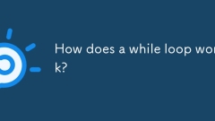 How does a while loop work?