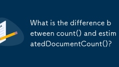 count ()와 votedDocumentCount ()의 차이점은 무엇입니까?