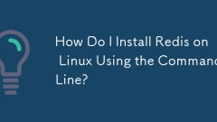 Bagaimana saya memasang redis pada linux menggunakan baris arahan?