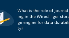 데이터 내구성을 위해 WiredTiger Storage Engine에서 저널링의 역할은 무엇입니까?
