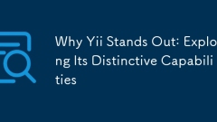 Why Yii Stands Out: Exploring Its Distinctive Capabilities