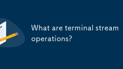 Was sind Terminal -Stream -Operationen?