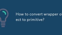 Wie konvertieren Sie ein Wrapper -Objekt in primitiv?